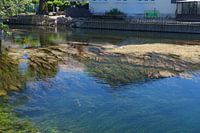 Klar fließender Fluss