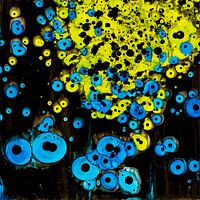 Parallele Universen 1von2