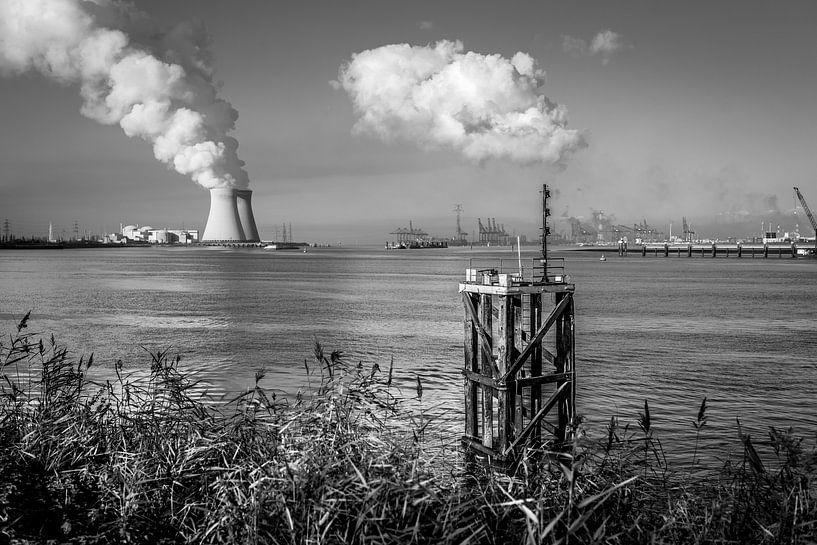 Ziel von Peter Pruydt