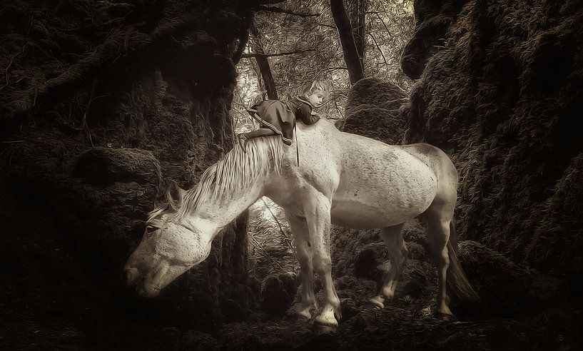 Horse in the Woods by Juliën van de Hoef