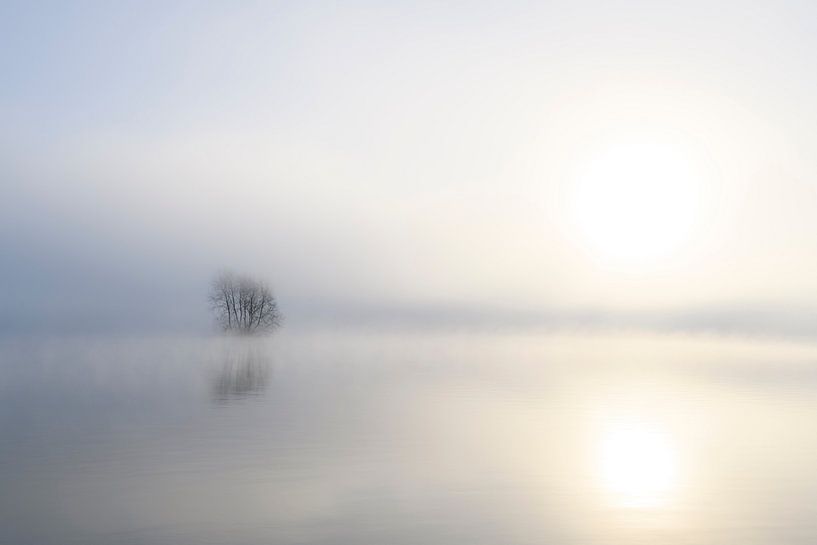 Brume s'élevant de la rivière IJssel par une froide matinée d'hiver. par Sjoerd van der Wal Photographie