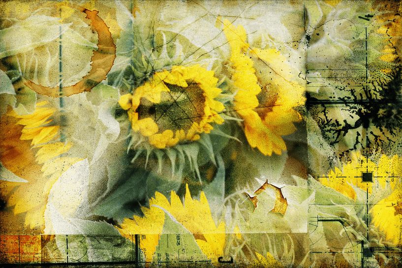 Tournesol par Yvonne Blokland