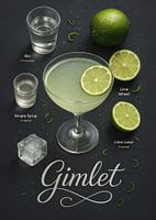 Gimlet Cocktail Poster - Gin und Limette Minimal klassisch