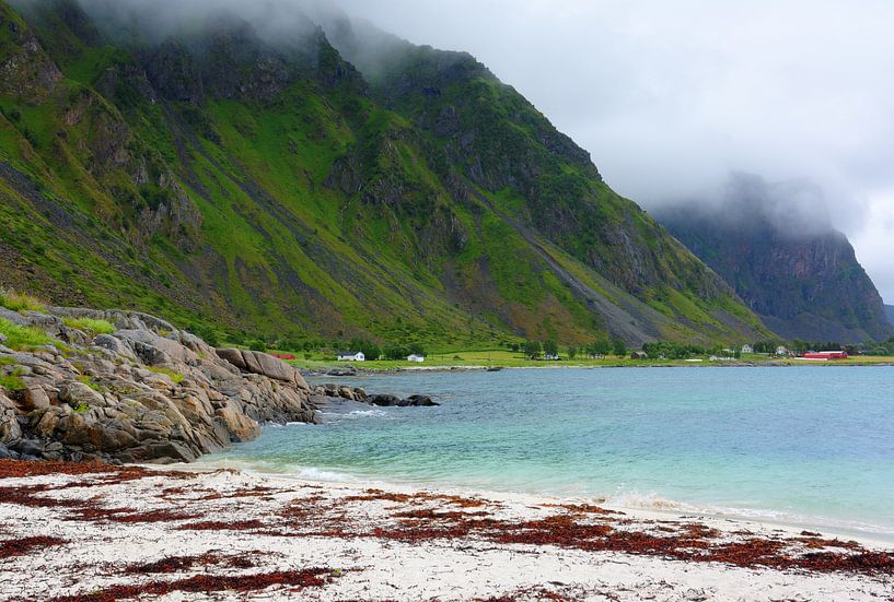 Abgelegene Idylle auf den Vesterålen van Gisela Scheffbuch