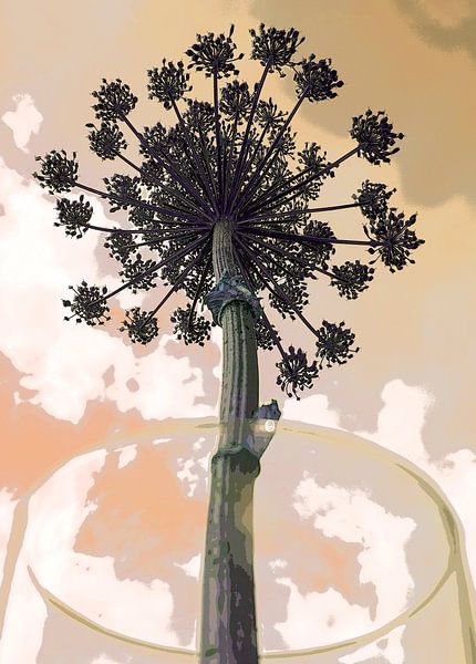 Bear claw against threatening air by Affect Fotografie