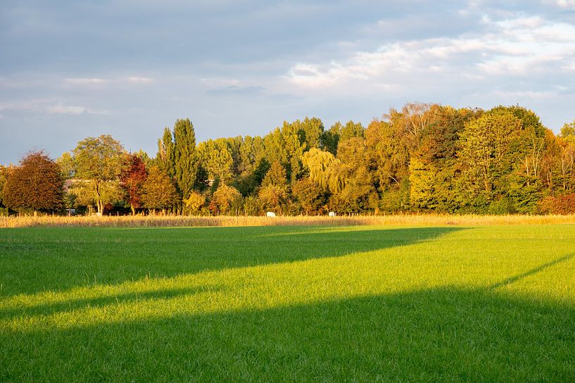 Groene weide en bomen in Wambeek Ternat, van Werner Lerooy