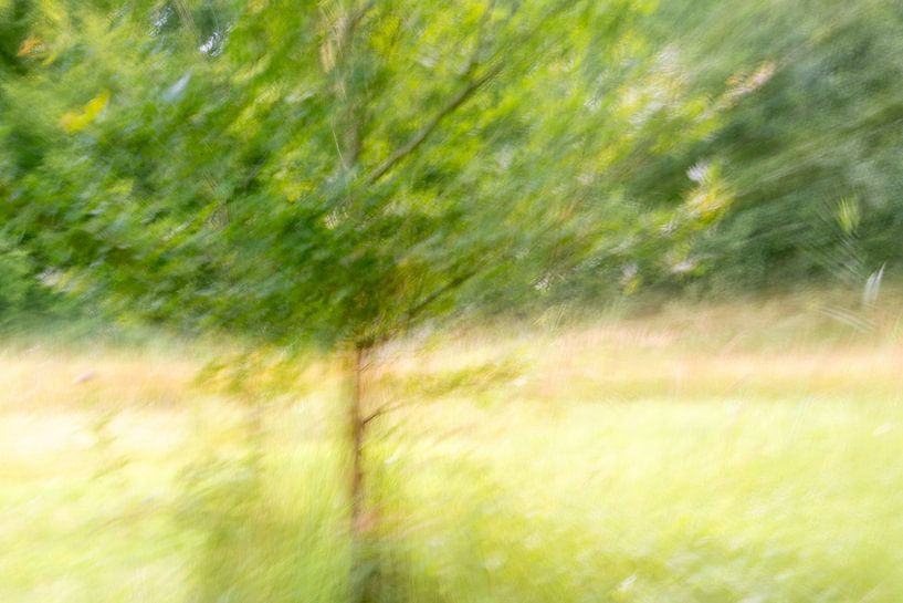 Photographie abstraite par Betty Verheij