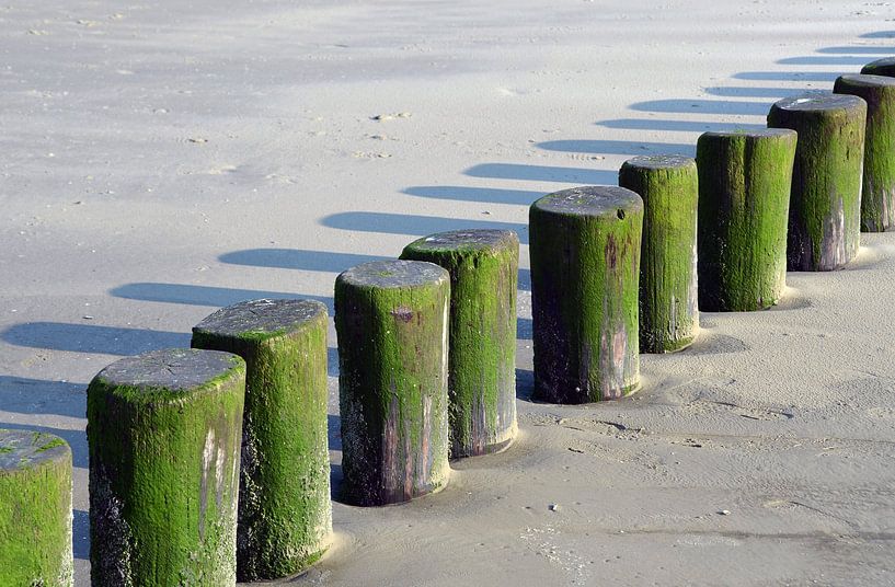 Grüne Stöcke am Meer Ameland von Ellinor Creation