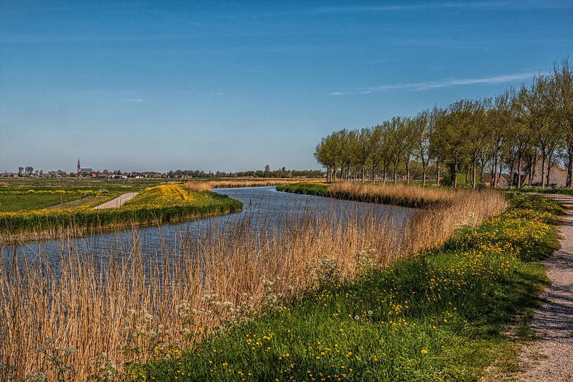 Polderlandschaft von Annette van Dijk-Leek