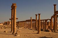 Palmyra – Wo Säulen Geschichten erzählen
