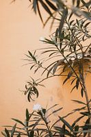 Gelbe Wand Frankreich