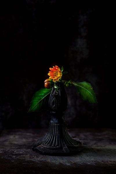 Give me wings by Diane Cruysberghs