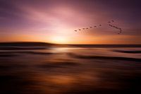 Colors of the North 6