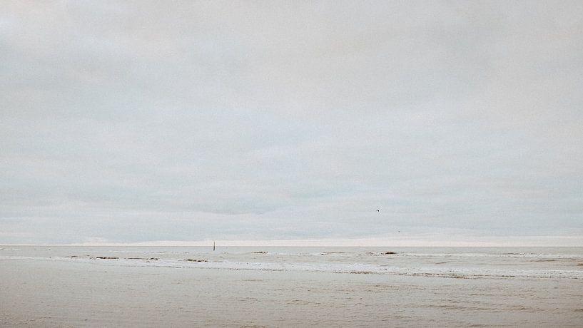 Seelandschaften 2.0 IXX von Steven Goovaerts