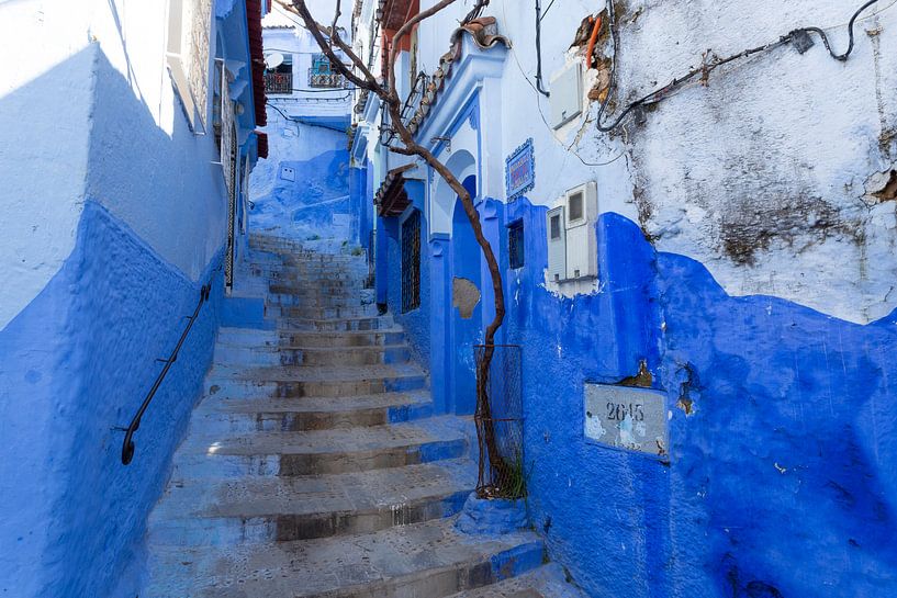 Blau getönte Treppe in der Altstadt von Chefchaouen, Marokko. Afrika von Tjeerd Kruse