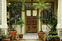 Haus mit den Pflanzen