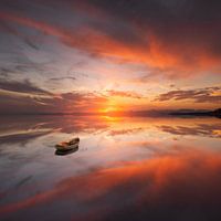 Delicate sound of silence ( concept )