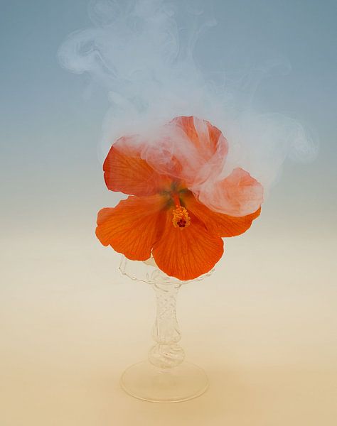 Balance antique avec pain et brouillard . par Saskia Dingemans Awarded Photographer