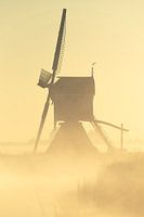 Lever de soleil doré