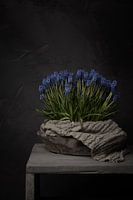 Rural still life with blue grapes in wooden bowl with linen canvas (vertical)