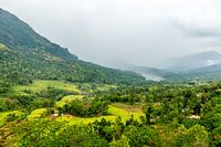Hoe groen kan een landschap in Sri Lanka zijn?