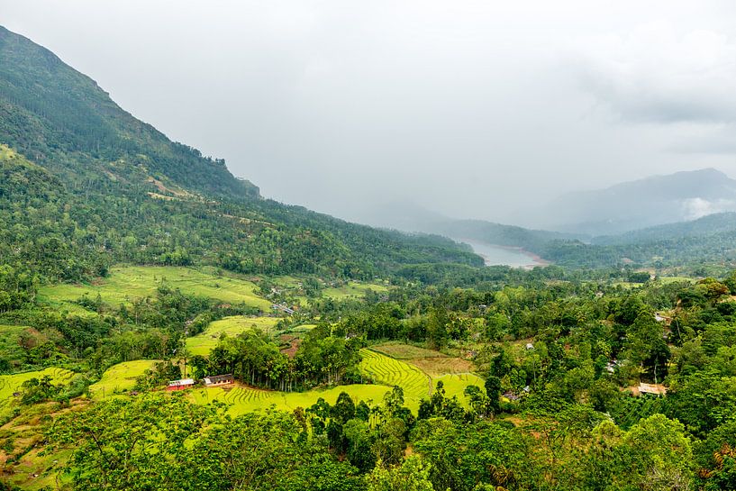 Hoe groen kan een landschap in Sri Lanka zijn? von Hein Fleuren