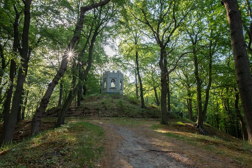 Estate Leyduin Vogelenzang by martin slagveld
