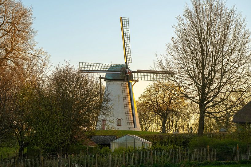 The mountain mill in Anzegem by Marcel Derweduwen