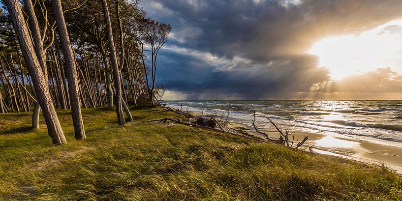 Tempête sur la plage ouest de Darss par Werner Dieterich