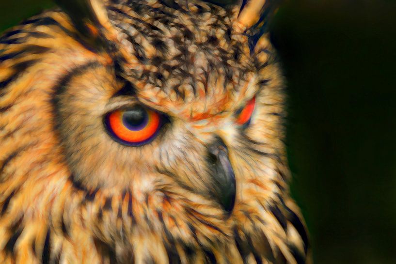 Porträt Bengal Eagle Owl. von Michar Peppenster