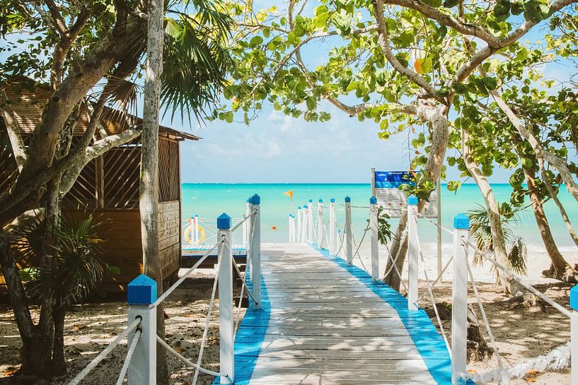 Magischer Strand an der Karibischen See von Art Shop West