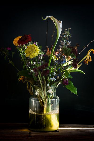 Laatbloeier von Daphne Elderenbos