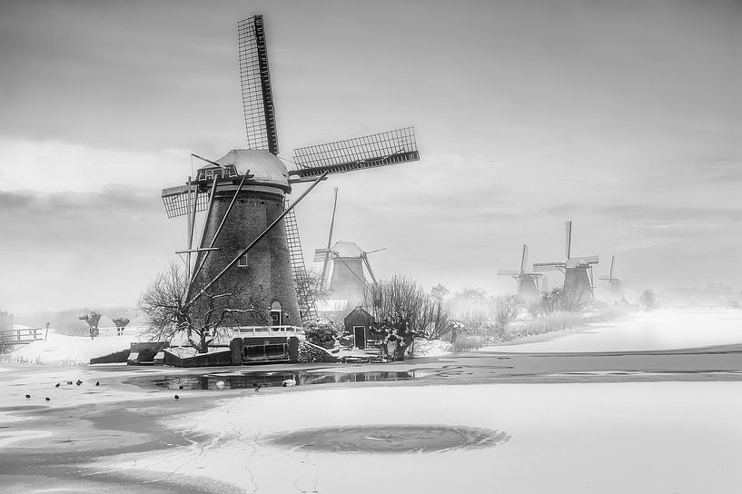 Windmühlen Kinderdijk von Ruud Peters