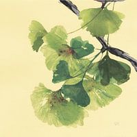 Gingko Leaves II Dark, Chris Paschke