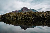 Réflexion dans le lac Lago Moreno, Bariloche, Argentine