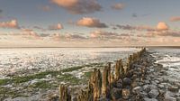 Verwitterte Pfähle im Wattenmeer bei Moddergat