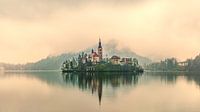 Bled dans la brume