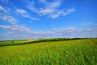 Slawonien im Morgengrauen