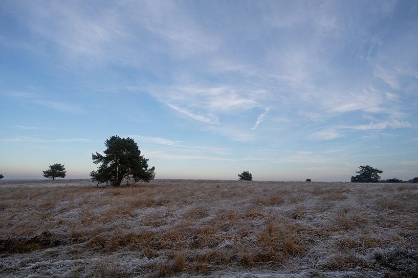 Winter landscape National park Veluwezoom by Arnold van Rooij