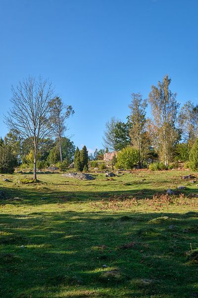 Suède 605 par Geertjan Plooijer