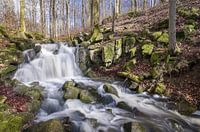 Petite chute d'eau au Buchenbach