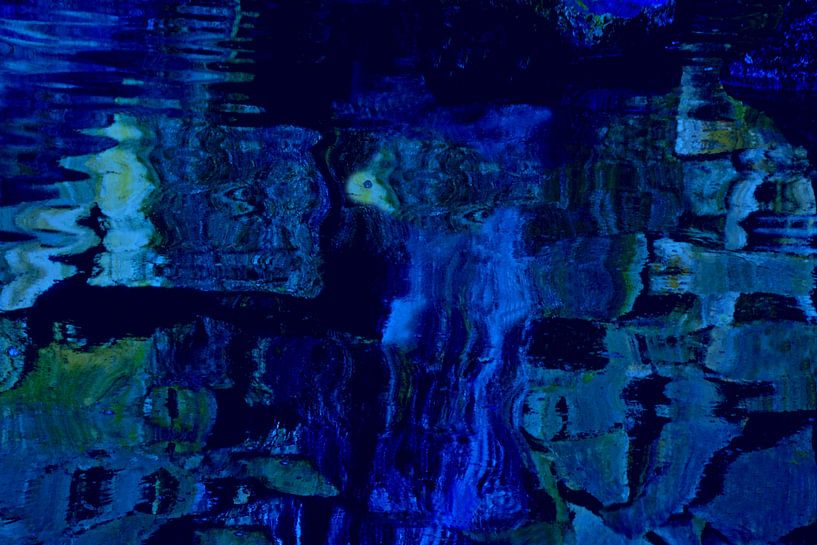 NAGE DU POISSON 1 par Miroslav Ptacek