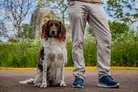 Fink an der Großen Kirche