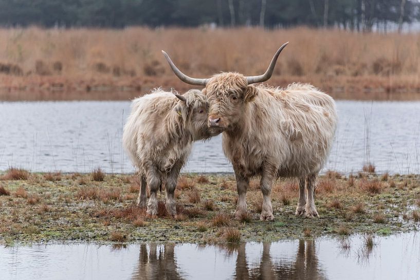 Mother and child by Ans Bastiaanssen