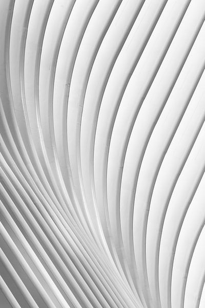 Lignes Calatrava par Christopher Budny