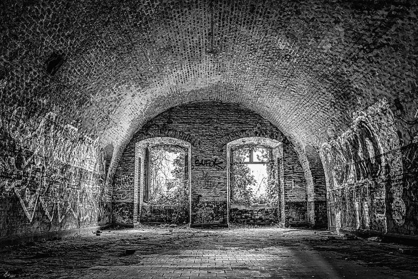 Zum Licht hinausschauen von okkofoto