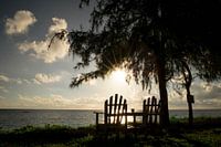 Dreaming away on Zanzibar
