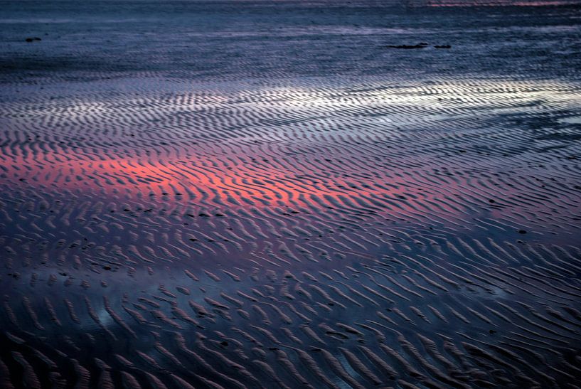 de vasières par Norbert Sülzner