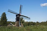 Spinnekopmolen 'De Wicher' in 'De Weerribben' 