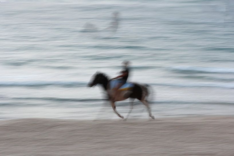 Reiter von Ronald Wilfred Jansen